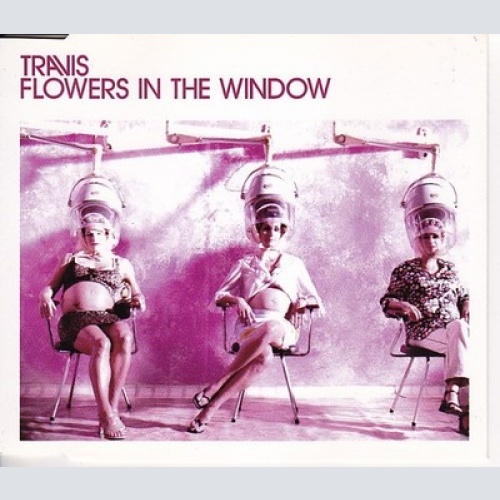 CD, Single Travis - Flowers In The Window