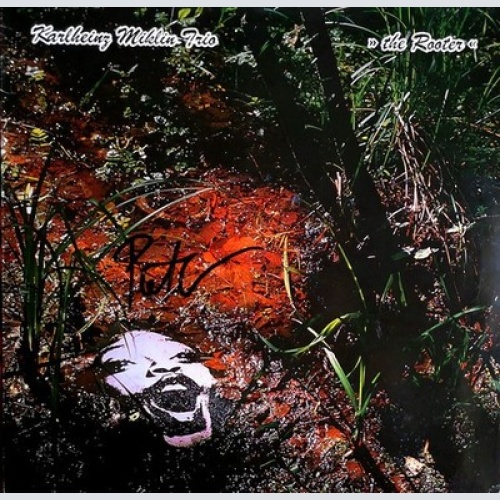 LP, Album Karlheinz Miklin Trio - The Rooter