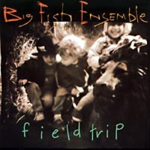 CD, Album Big Fish Ensemble - Field Trip