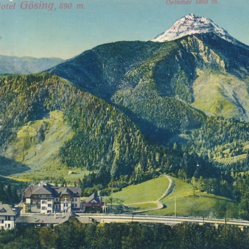 AK aus Station und Hotel Gösing Steiermark Ansichtskarte (18555)