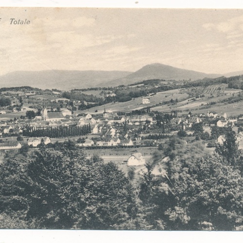 AK aus Gleisdorf Steiermark Ansichtskarte (18568)