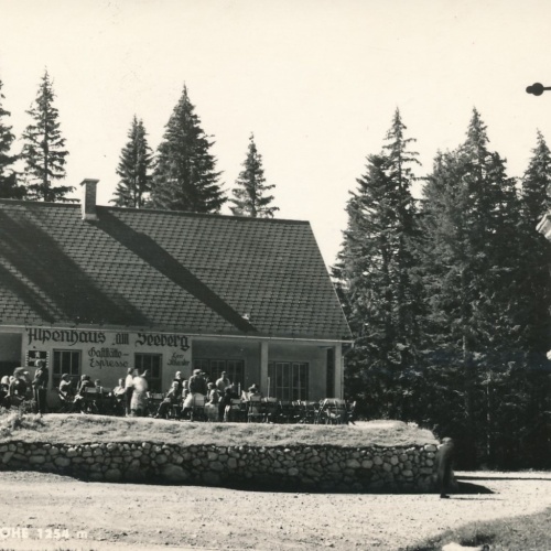 AK aus Seebergpasshöhe Steiermark Ansichtskarte (18569)