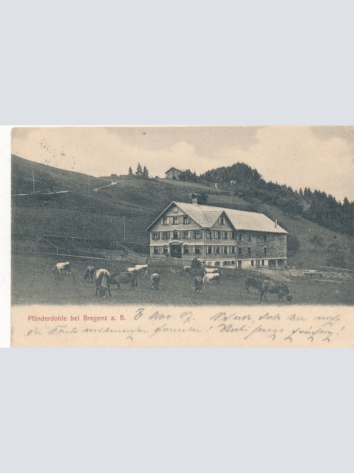 AK aus Pfänderdohle bei Bregenz Vorarlberg Ansichtskarte (18587)