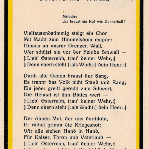 AK Militaria Österreichs Wacht Ansichtskarte (18475)