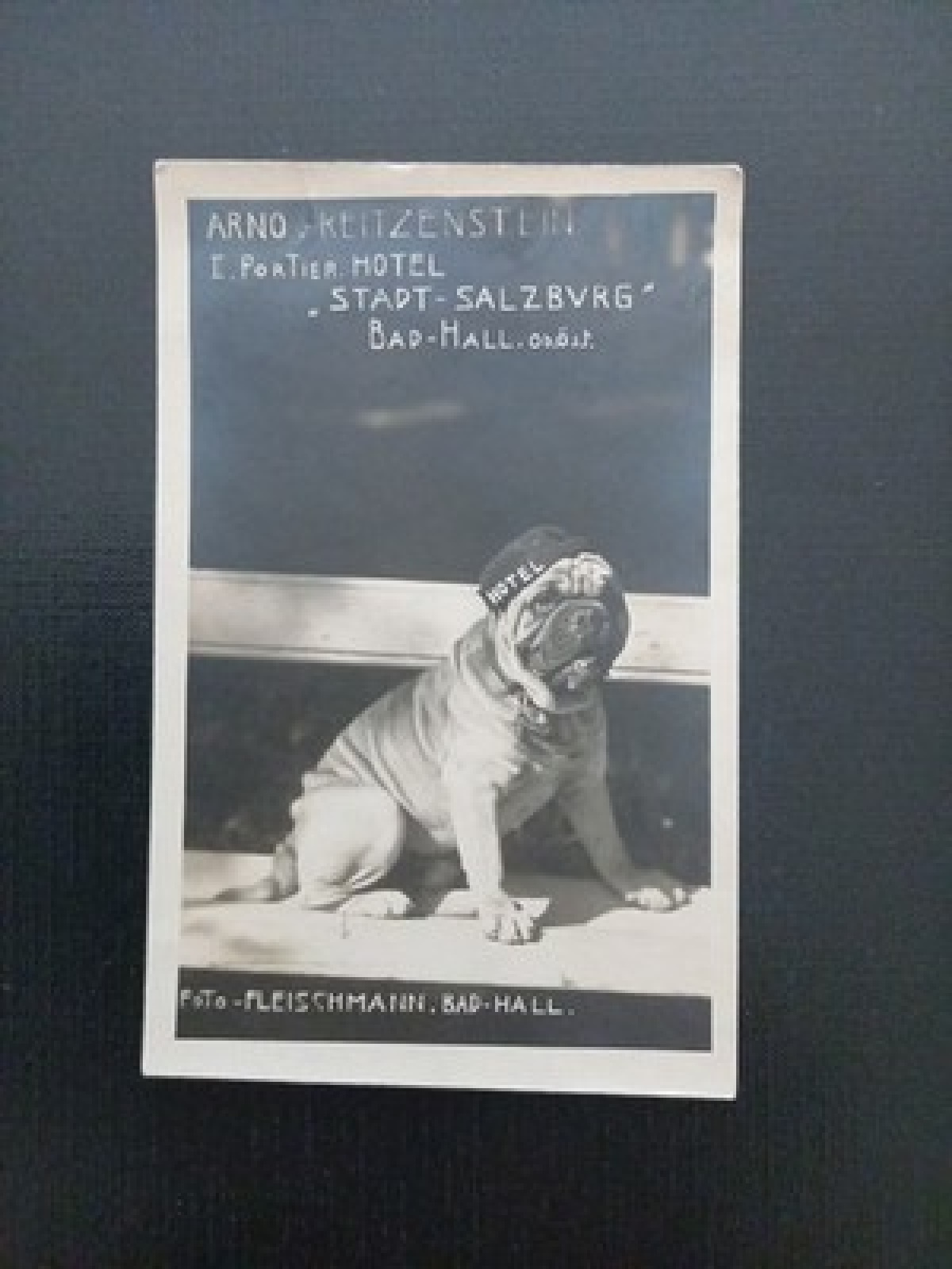 Arno Reitzenstein Hotel Dtadt Salzburg Bad Hall Und Hund Gr