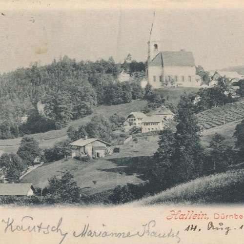 AK aus Hallein Dürnberg Salzburg Ansichtskarte (18511)