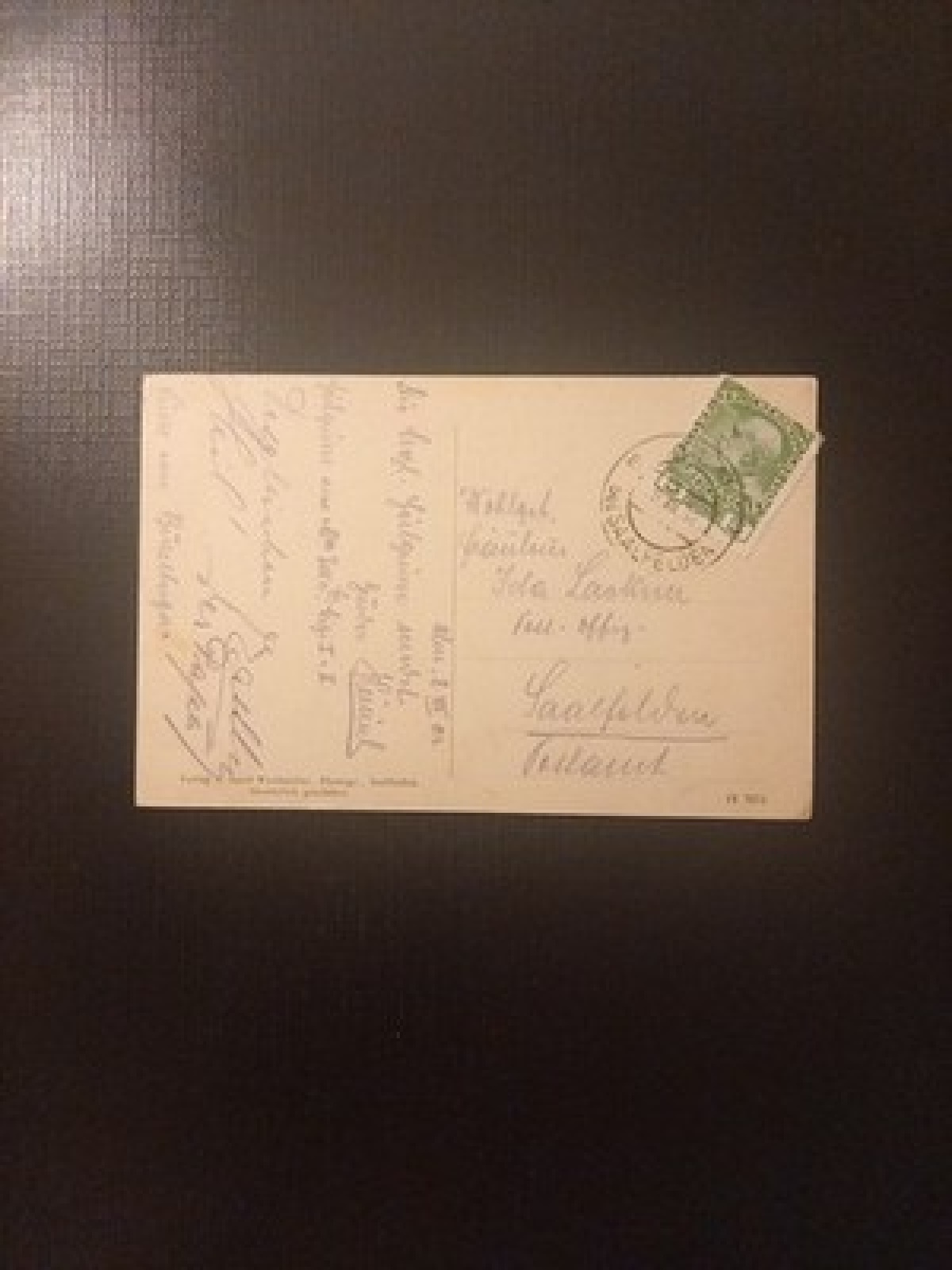 Alm Saalfelden Salzburg Gr