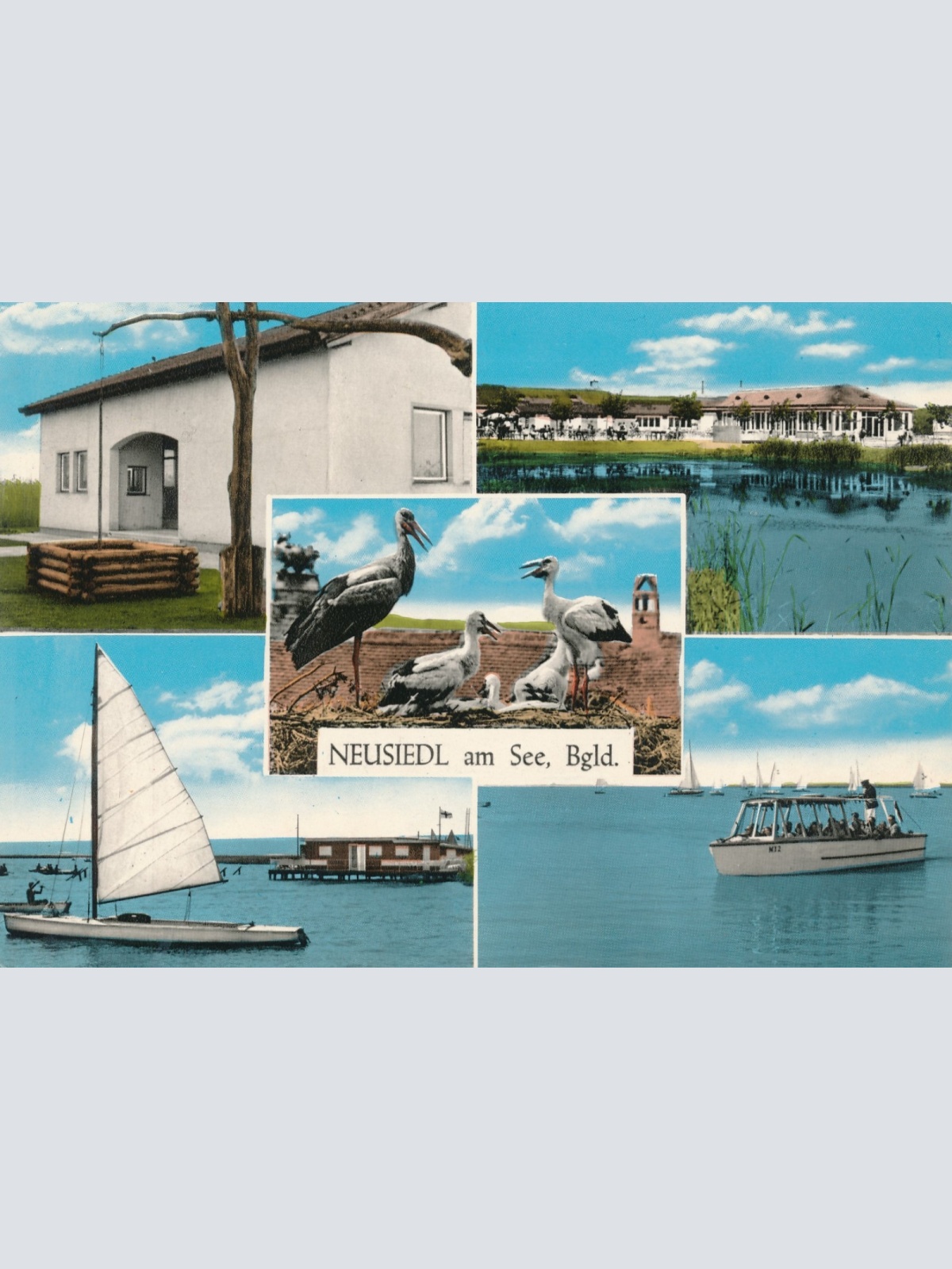 AK aus Neusiedl am See Burgenland Ansichtskarte (18662)