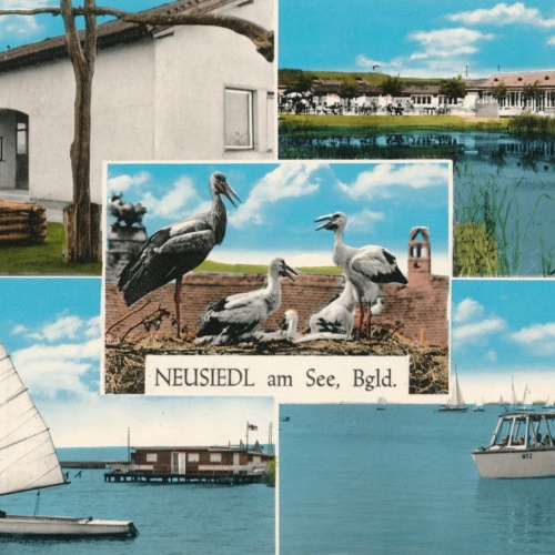 AK aus Neusiedl am See Burgenland Ansichtskarte (18662)