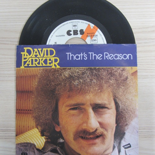 Single /   David Parker ?– That's The Reason  / PROMO / MUSTER / RAR / 1978 /