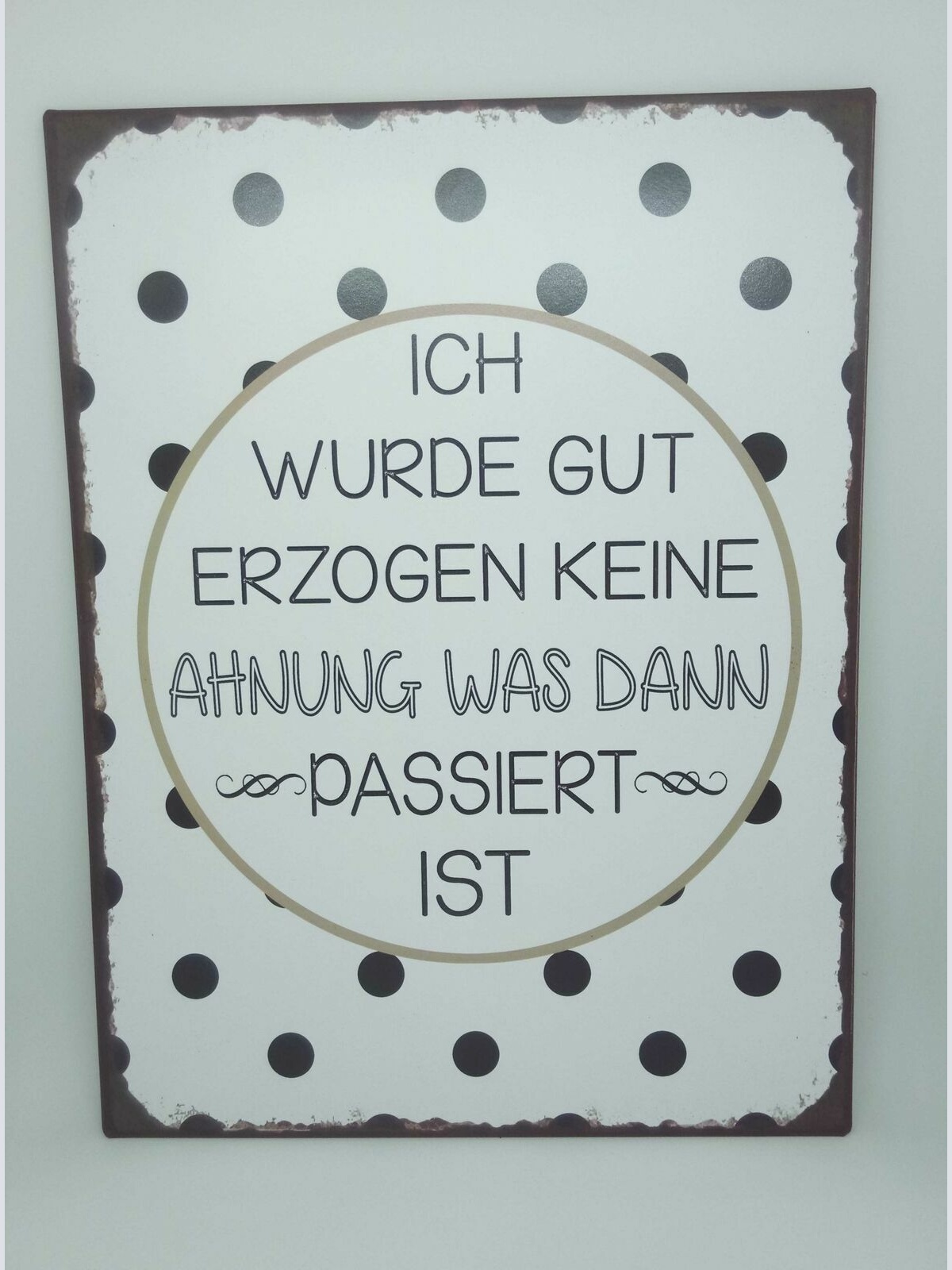 Nostalgie Retro Blechschild "Ich wurde gut erzogen..." 35x26 50244