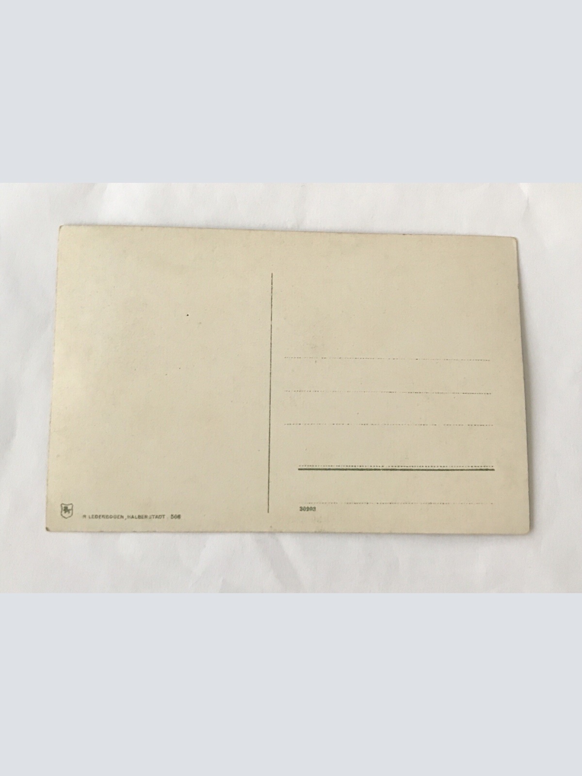 AK, Bodetal, Walpurgisrestaurant, Bismarckfelsen, Sachsen Anhalt (110206 BW)