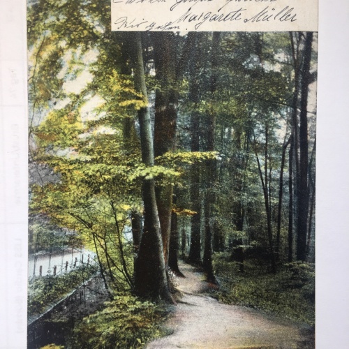 Hannover Eilenriede- Weg nach Steuerndieb 85090 RE