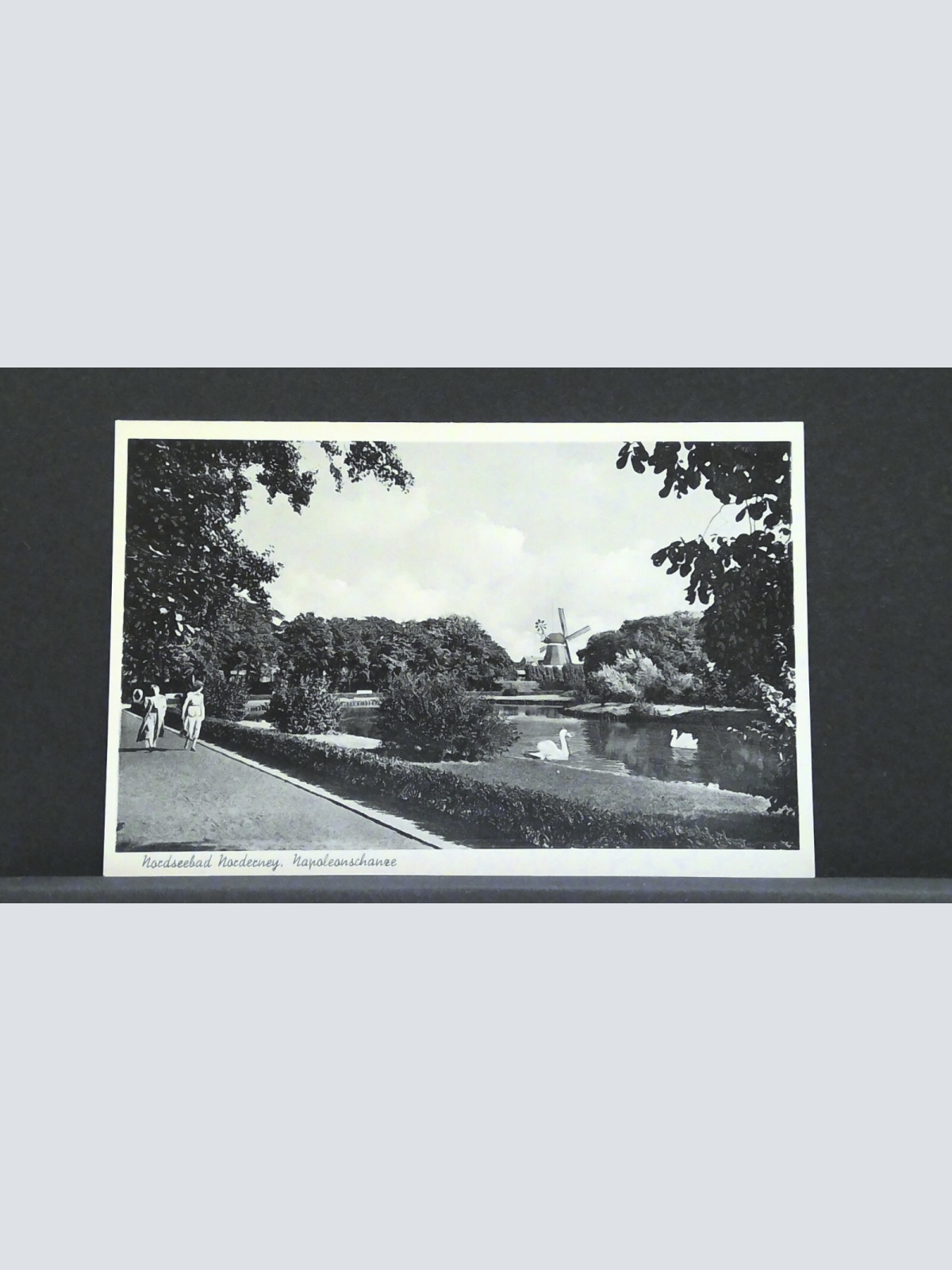 Nordseebad Norderney Napoleonschanze Windmühle Schwäne JW 400999 F