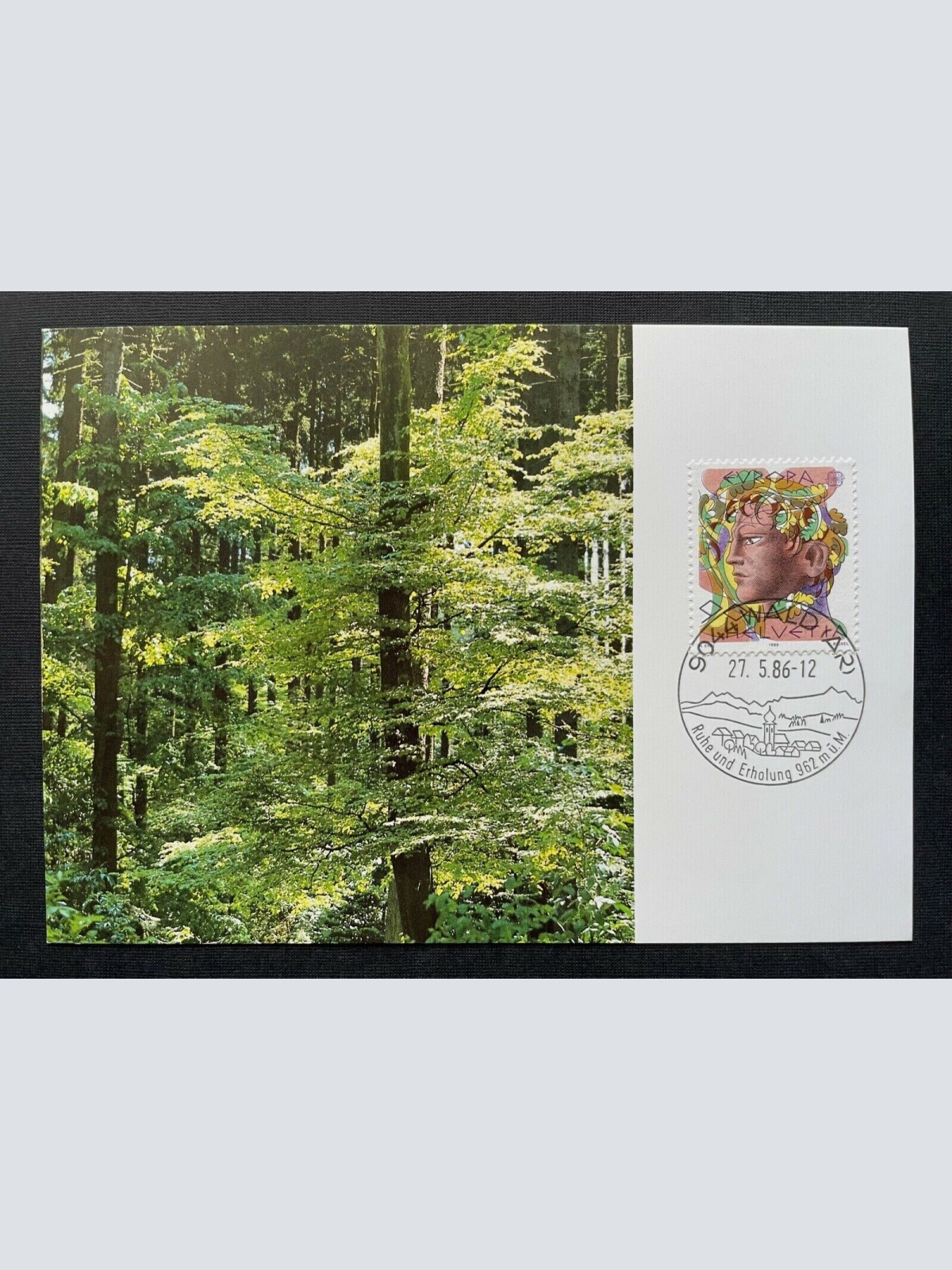 Brief Wald AR Natur Umweltschutz Mischwald 1986 Schweiz ca.14,9x10,4cm 410322
