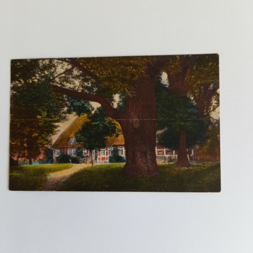 Künstlerkarte Haus mit Baum 140387 GR