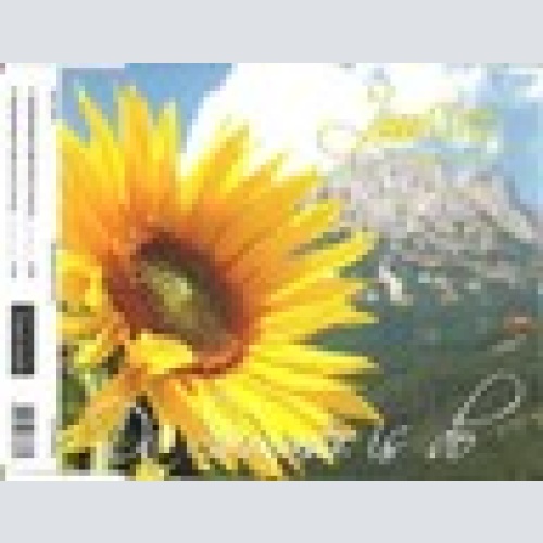 MCD / JAZZ GITTI / RARITÄT /