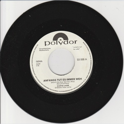 Martin Lauer - Anfangs Tut Es Immer Weh / Wo Ist Die Lebenslängliche Begleite...