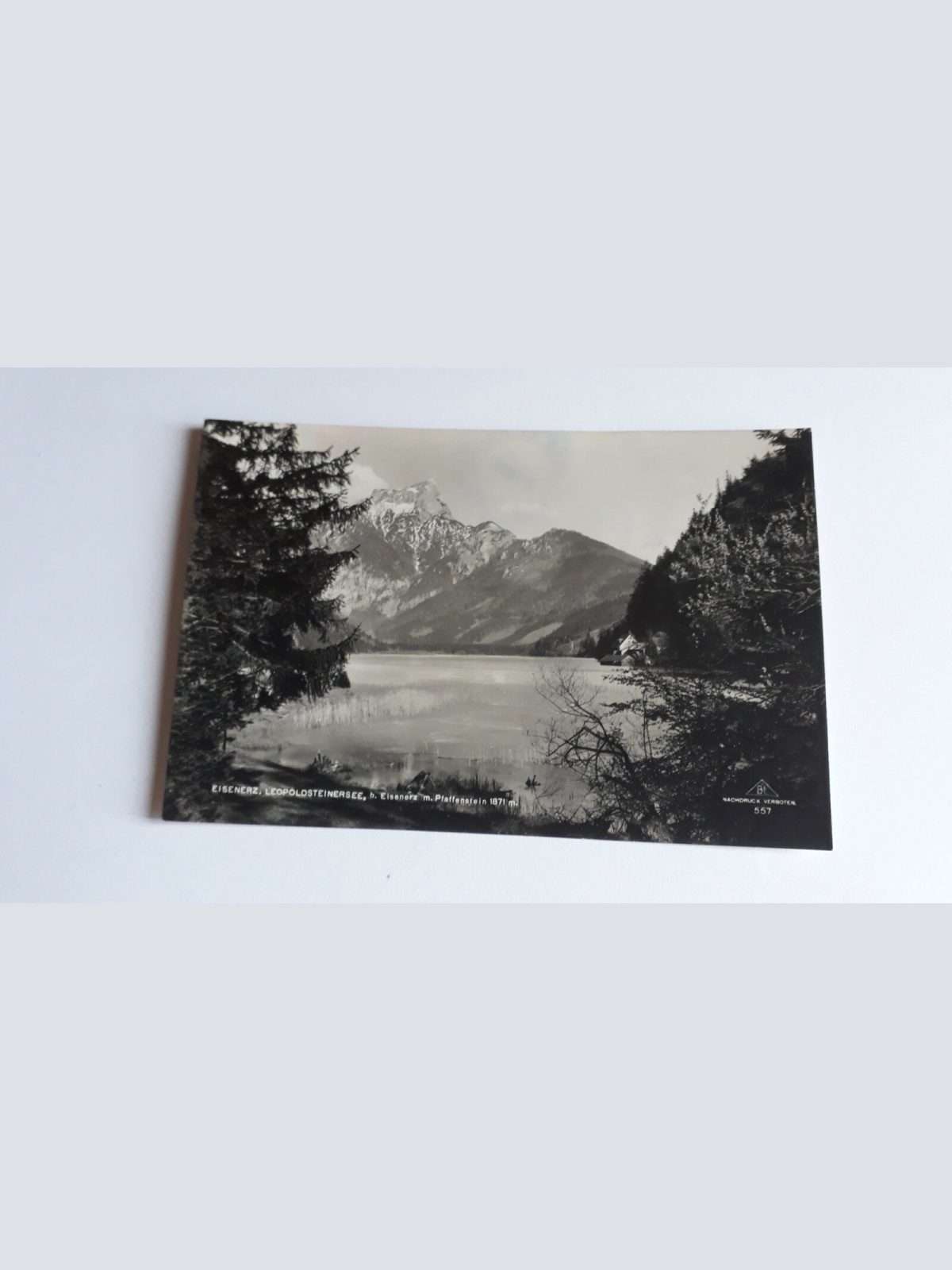 Eisenerz, Leopoldsteinersee 40006FH