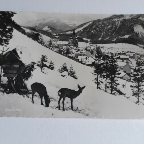Mariazell  40049 FH