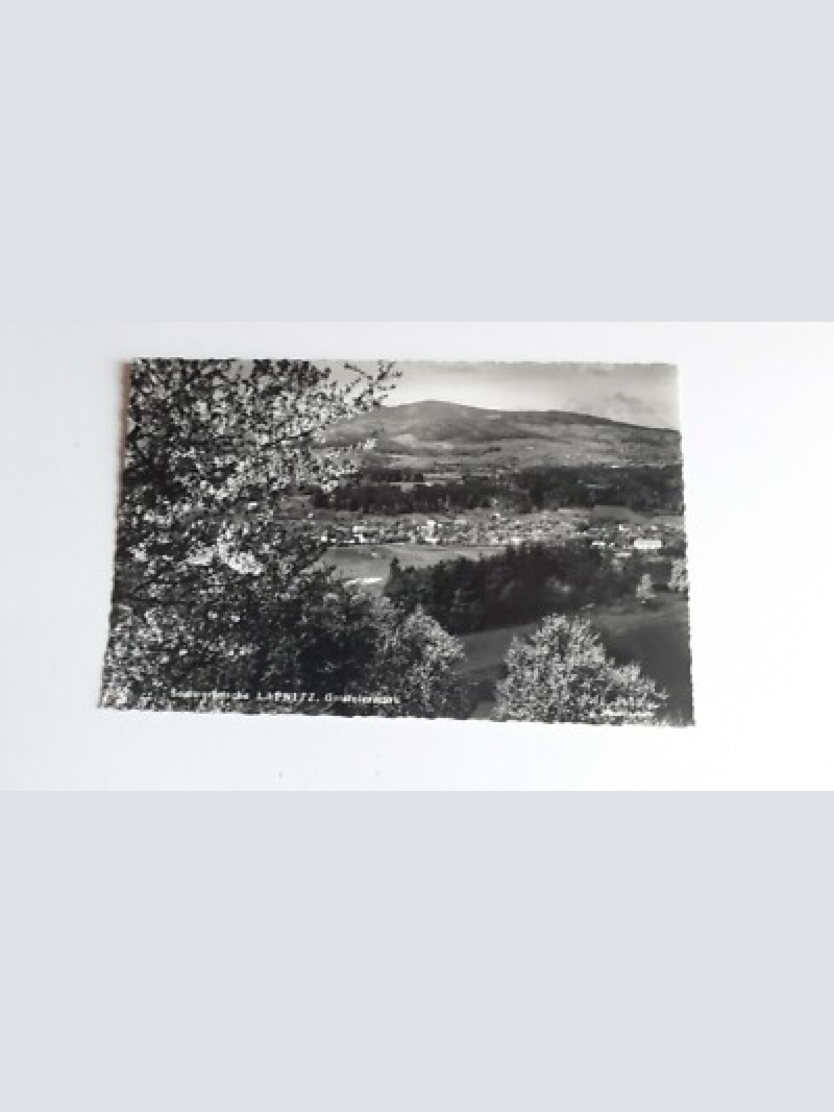 Sommerfrische Lafnitz. 40084FH