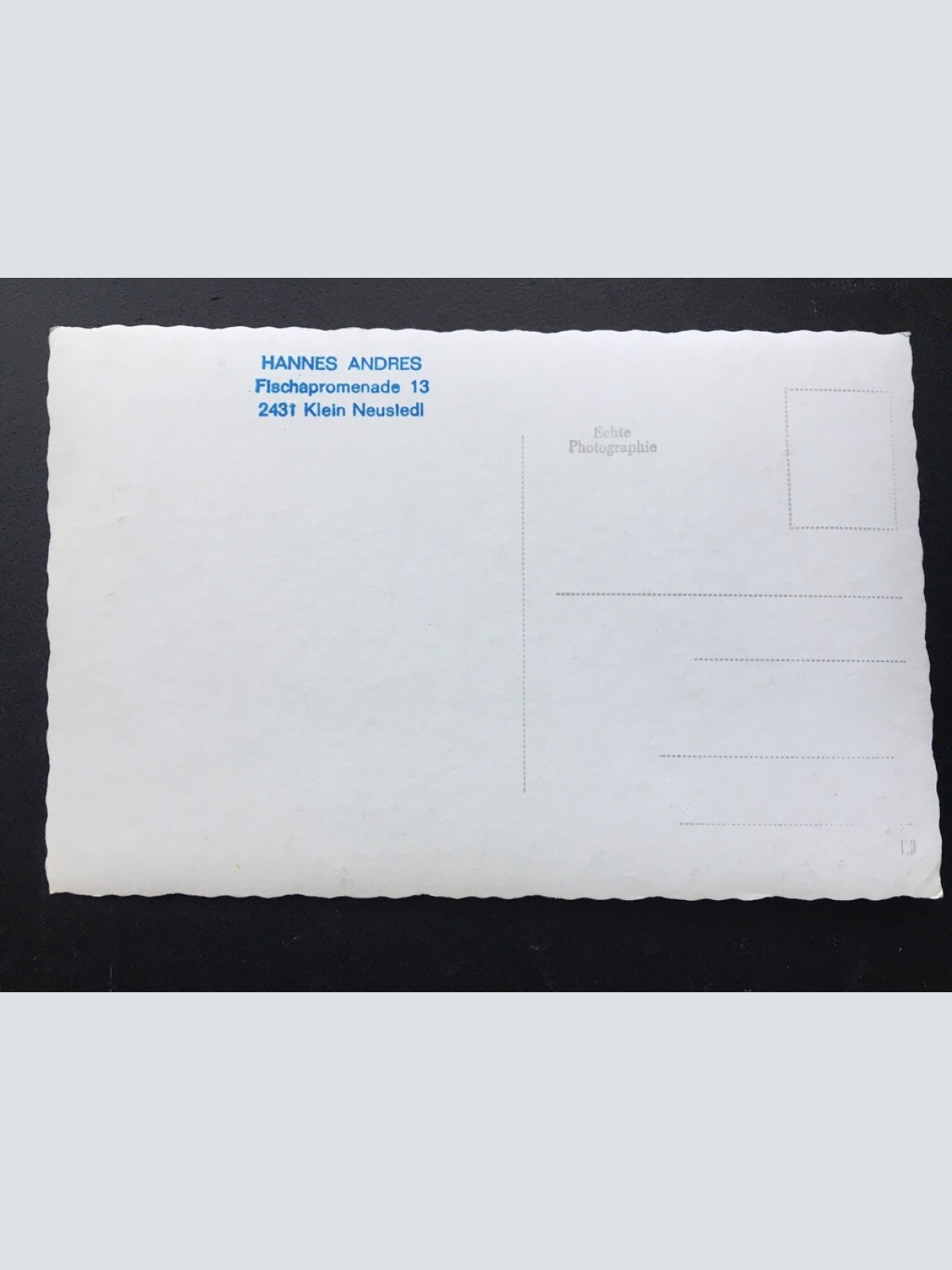 Auf Entdeckungs-Reise - Schwäne - Insel Kirche 400222 TH