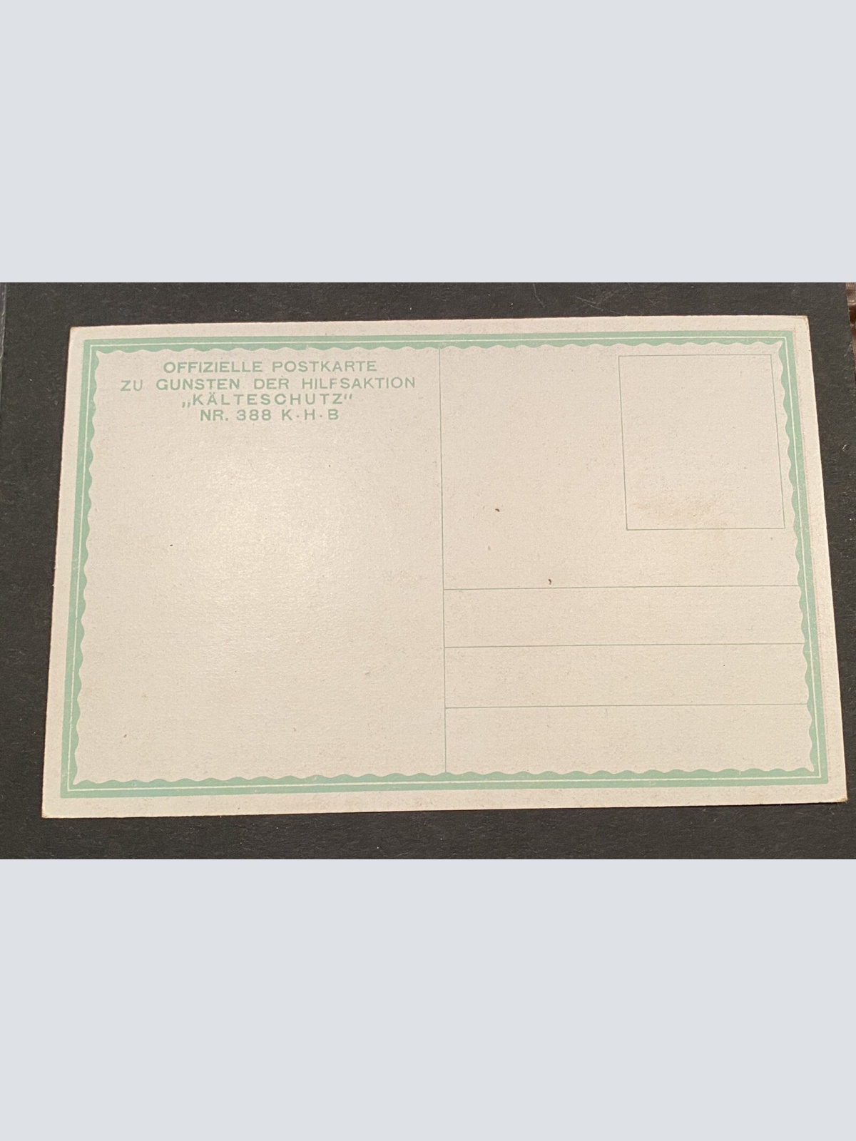 Soldat Reiter Kälteschutz Nr. 388 WWI  80160