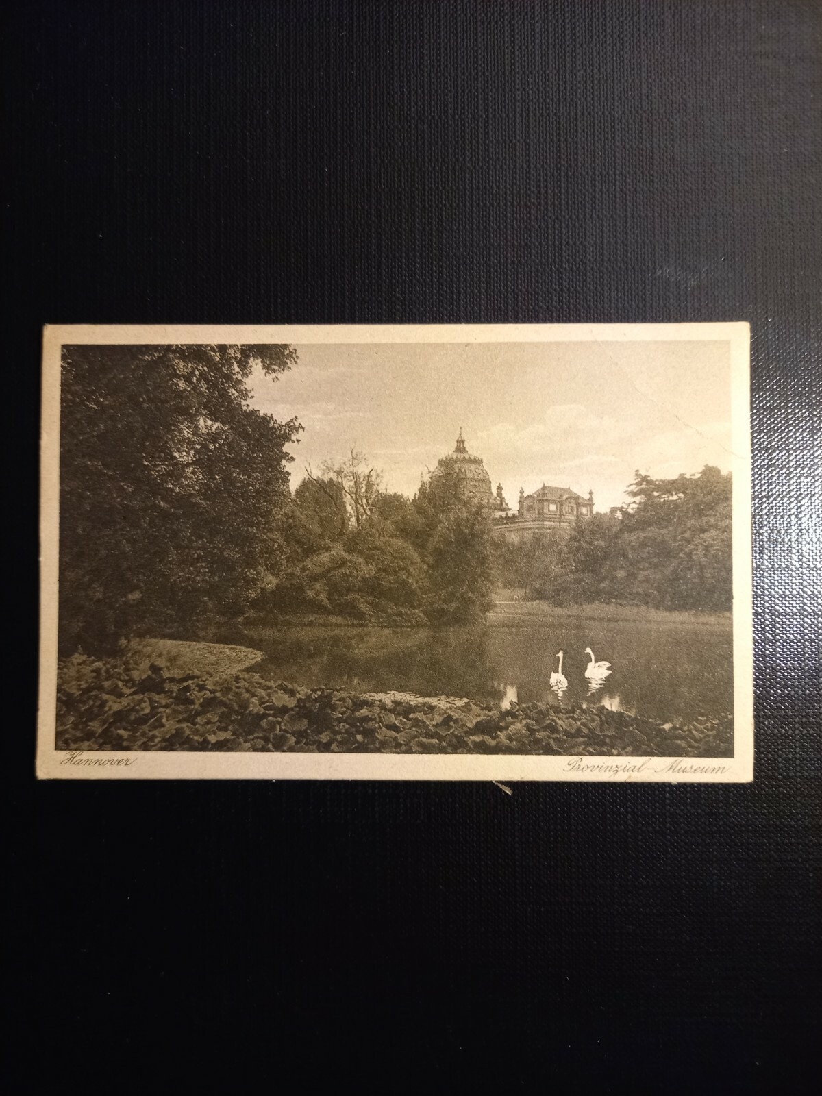 Hannover Provinzial Museum 400334 gr D