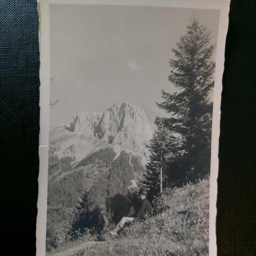 Fölzstein Hochschwab Berg Alpen Baum Wald 402522 WM