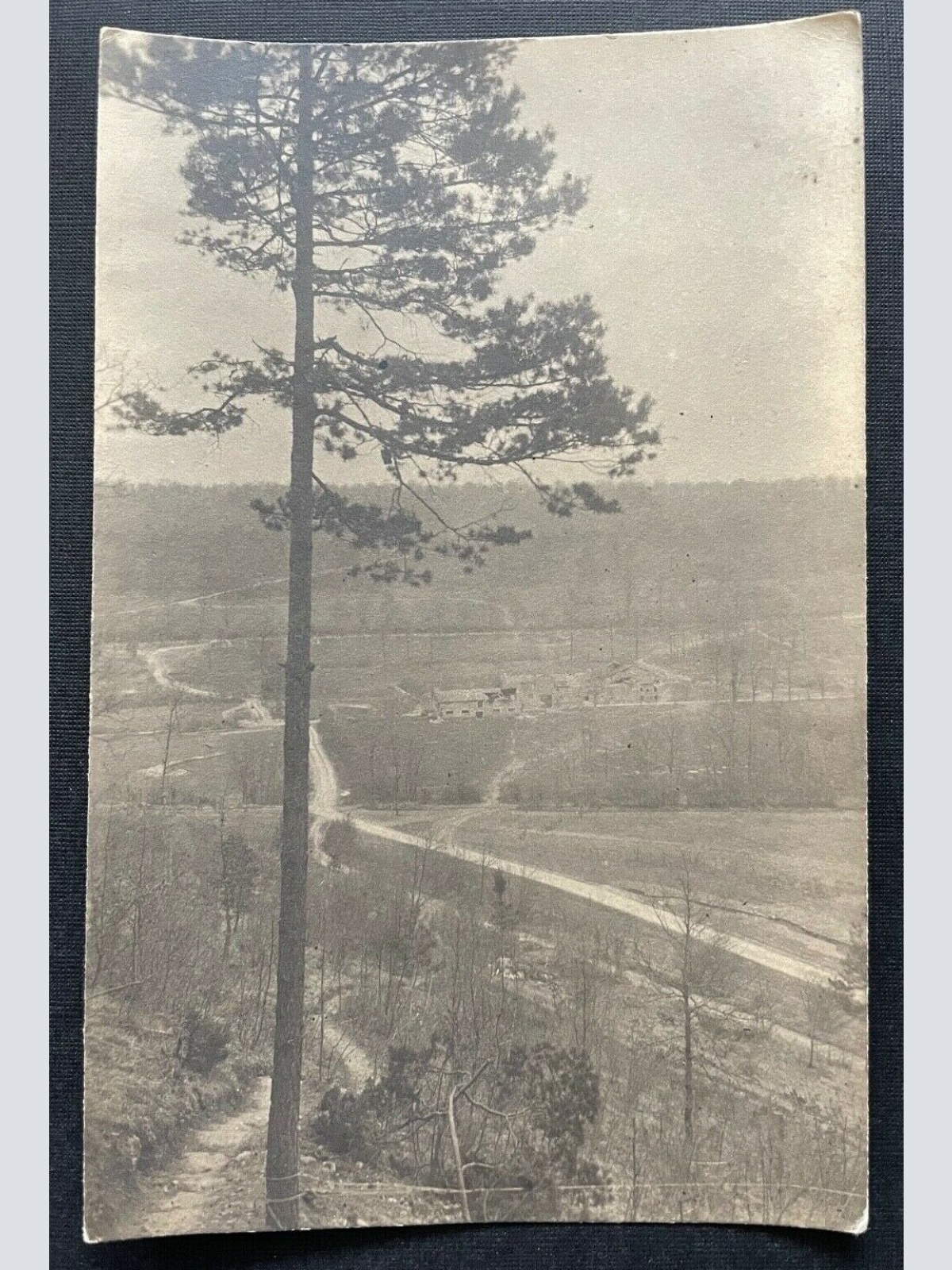 Masuren? Schlucht bei ? Landschaft Baum Wald Au Berg 410087 TH C