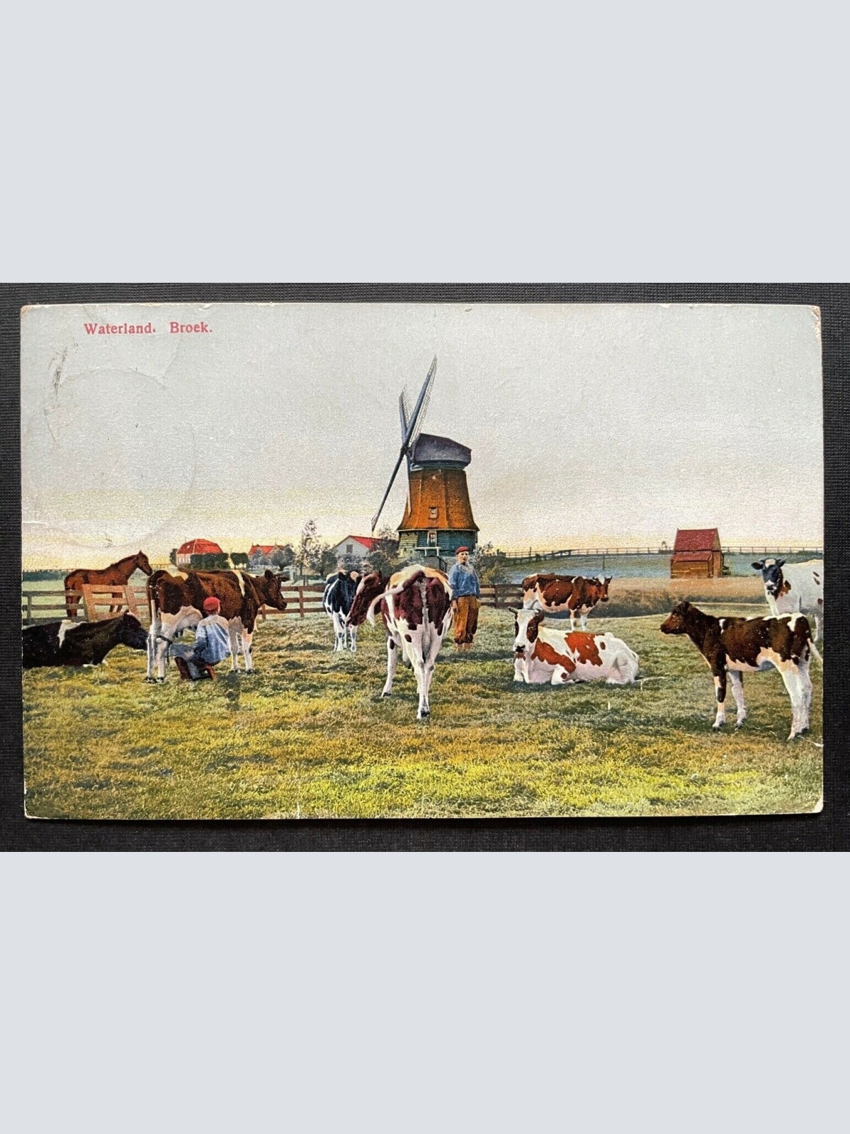 Waterland Broek Kuh Windmühle Bauer Landschaft Niederlande Holland 410111 TH