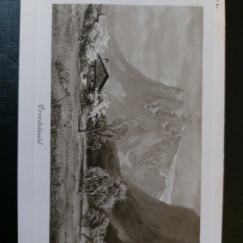 Grindelwald Alm Berge Gebirge Feld 402561 WM