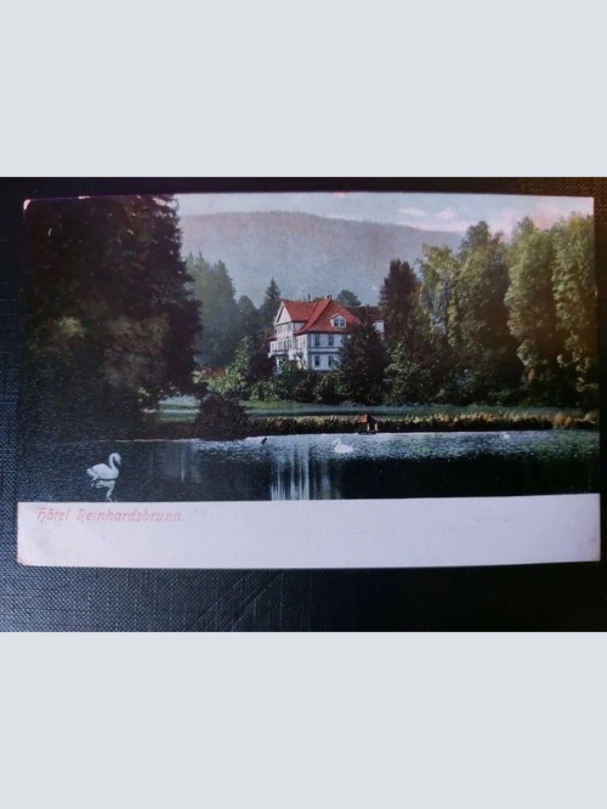 Hotel Reinhardsbrunn Schwäne See Wald Villa  402565 WM