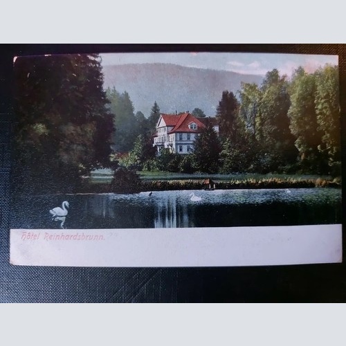 Hotel Reinhardsbrunn Schwäne See Wald Villa  402565 WM