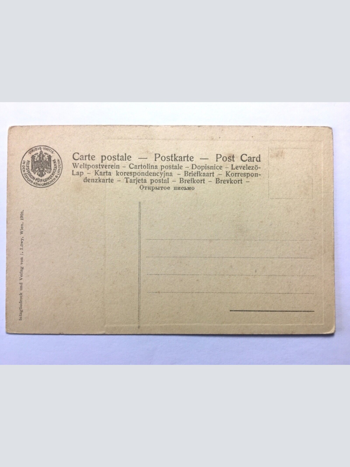 Bildnis (Pordenone) - Mann mit Buch - Künstlerkarte 30156 TH