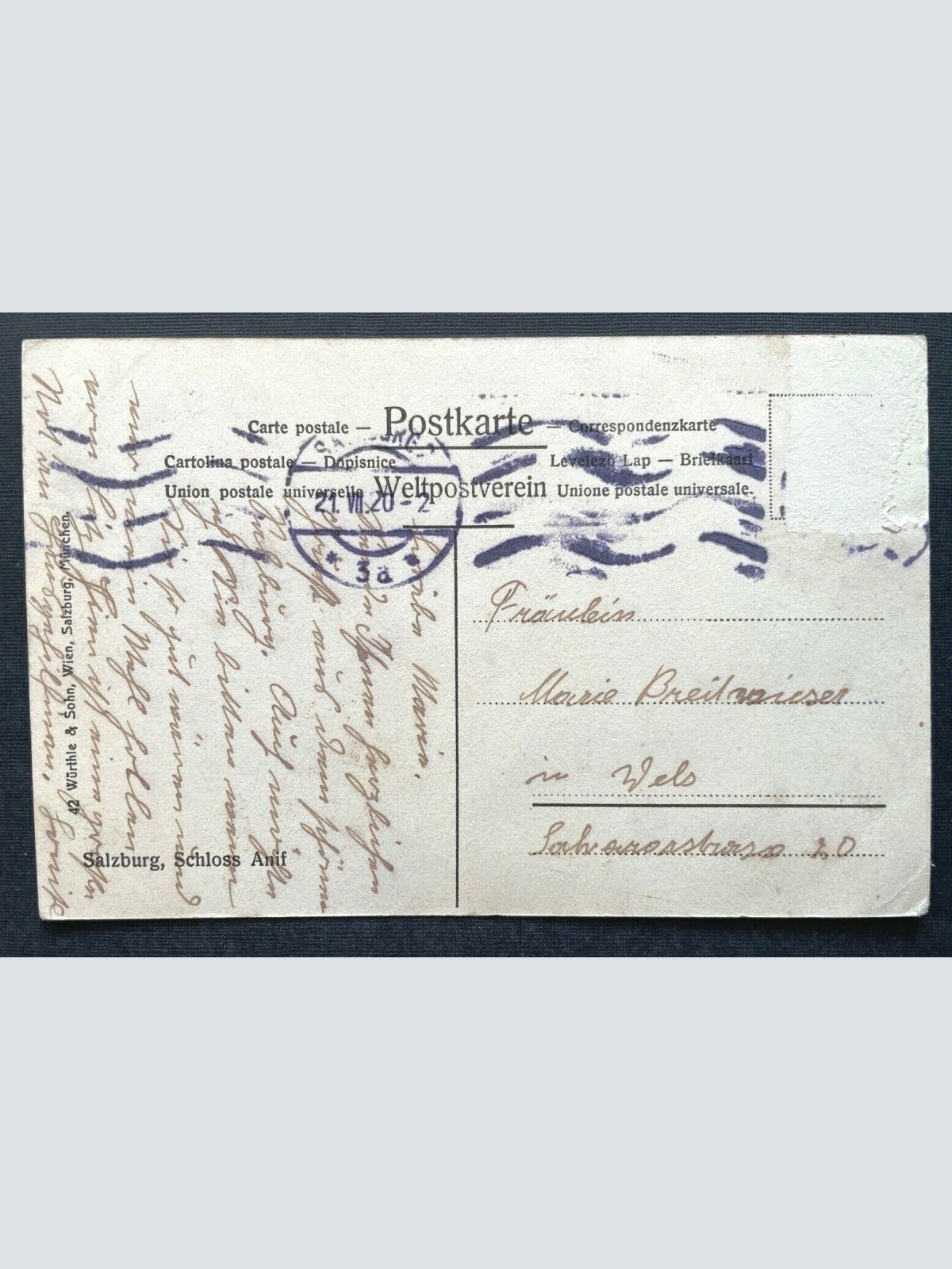 Salzburg Schoss Anif Weiher Gebäude Turm Baum Park Brücke Österreich 410834 TH