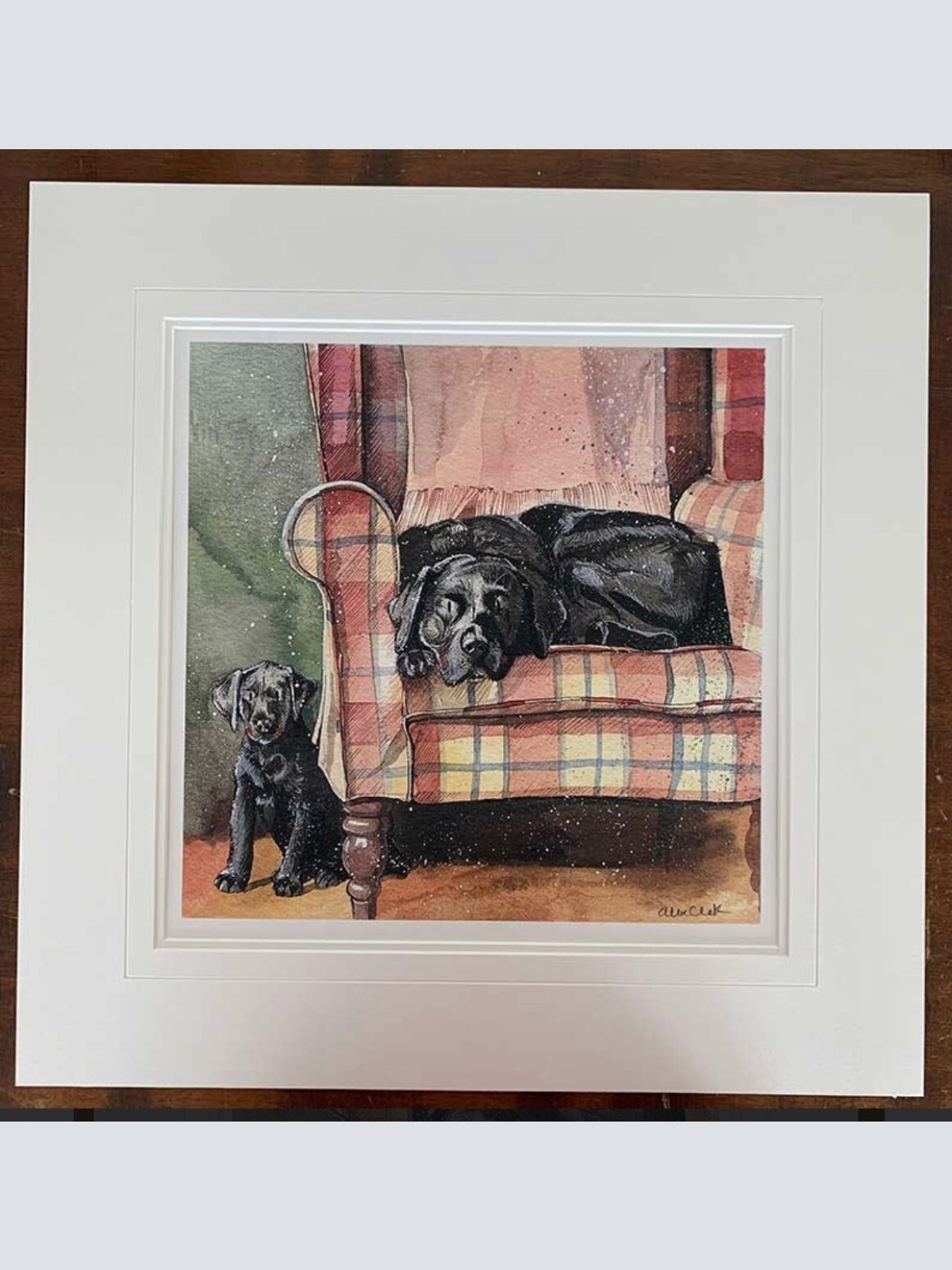 Alex Clark Hund Hunde  Sophie And Scarlet   140x140 mm incl. Umschlag    0006