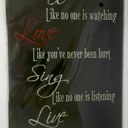 Nostalgie Retro Blechschild Spruch 30x20 50122