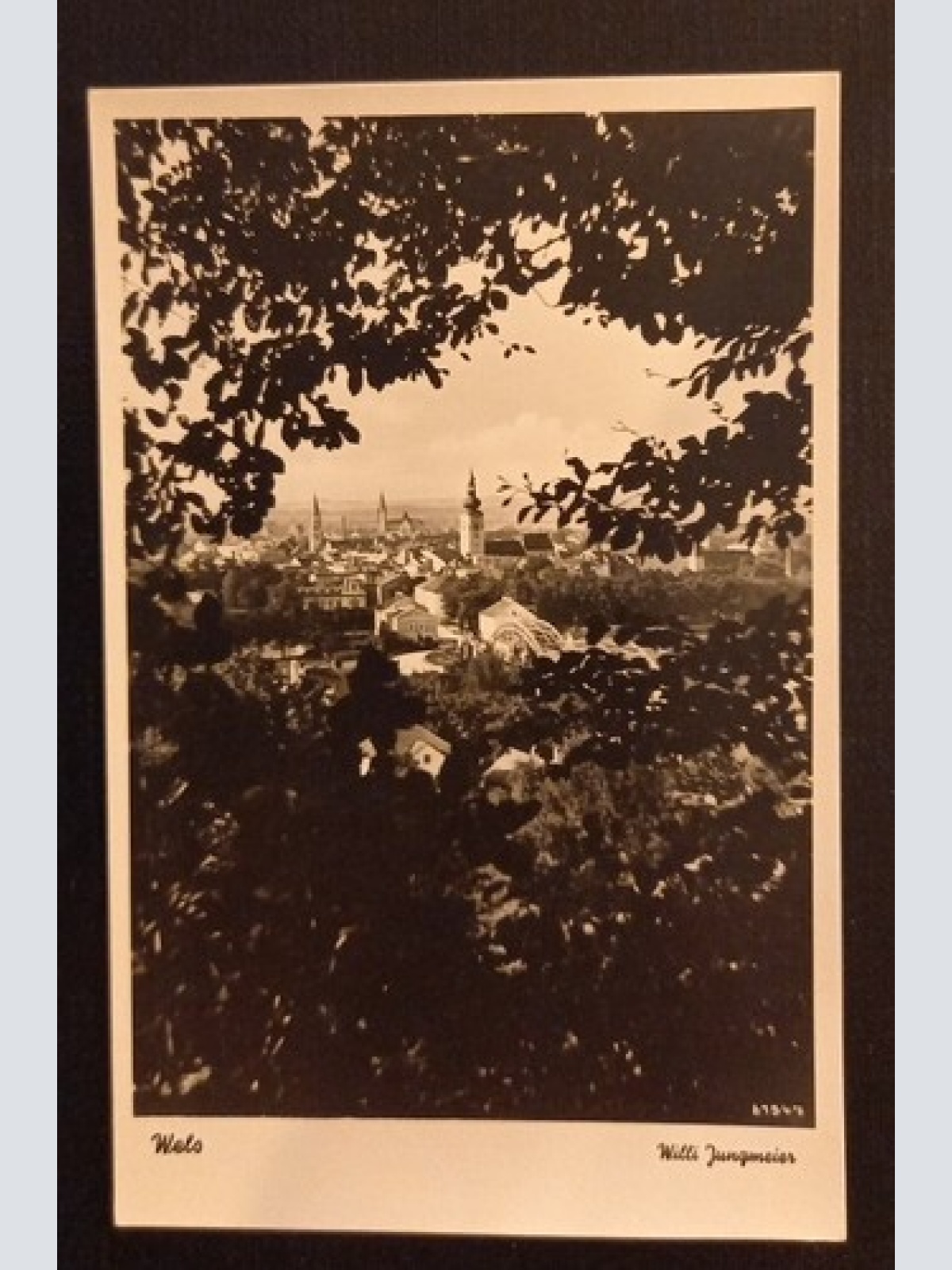 Wels Willi Jungmeier 600759A Ga G