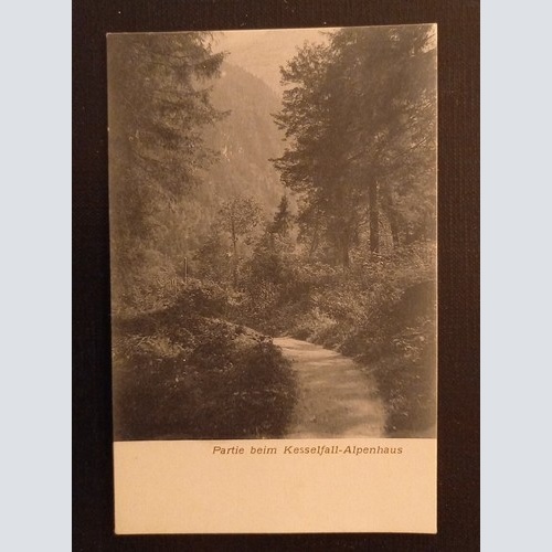 Partie Beim Kesselfall Alpenhaus 600722A Ga G