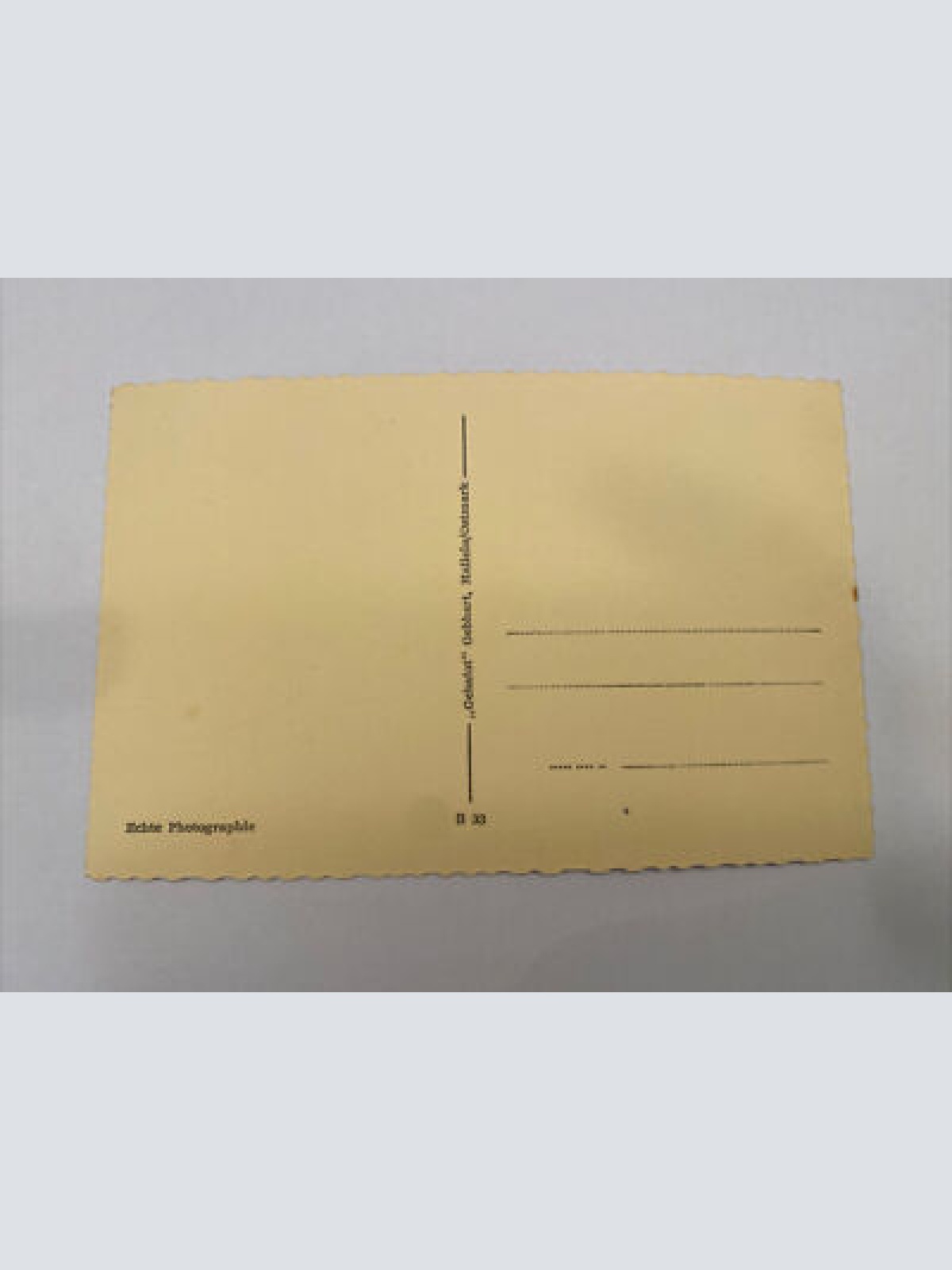 Die alte Salzstadt Hallein gegen das Tennengebirge 60242