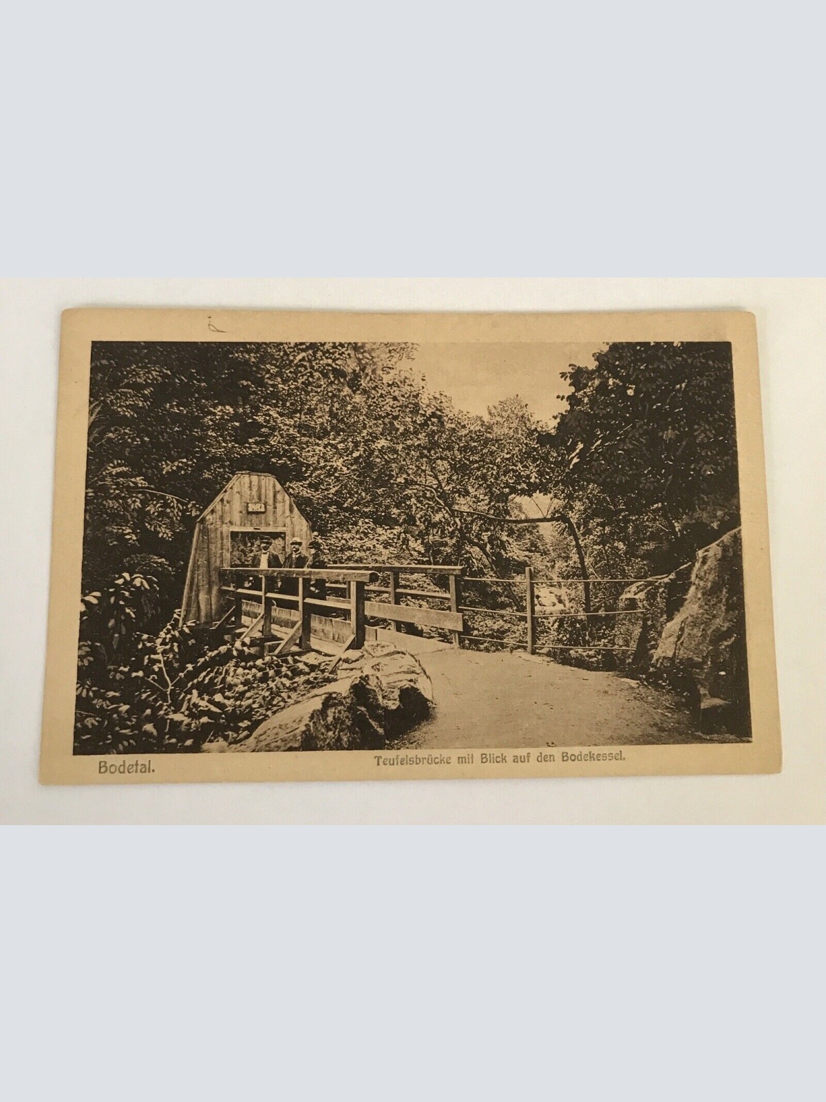 ansichtskarten, Bodetal, Teufelsbrücke, Blick auf Bodekessel (40038 BW)