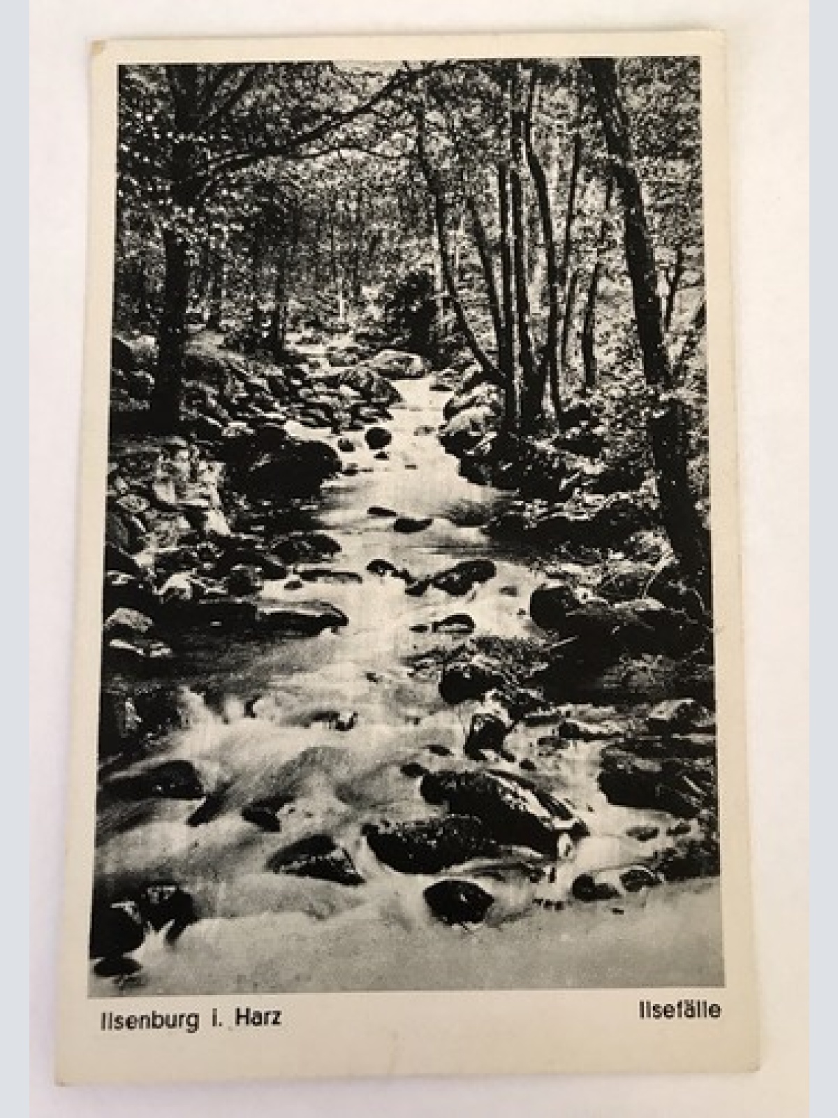 AK, Sachsen, Jisenburg, Harz, Ilsenfälle (40048 BW)