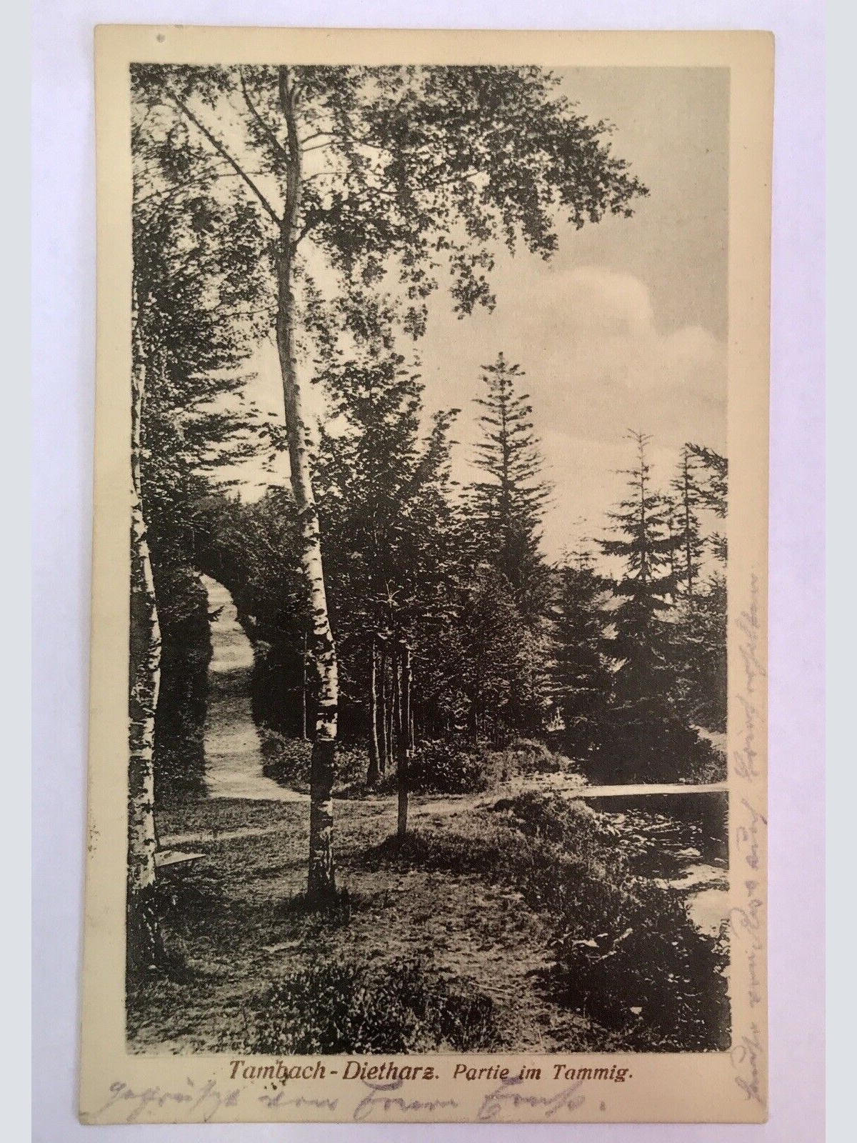 Ak, Thüringen, Tambach, Dietharz, Wald (40074 BW) G