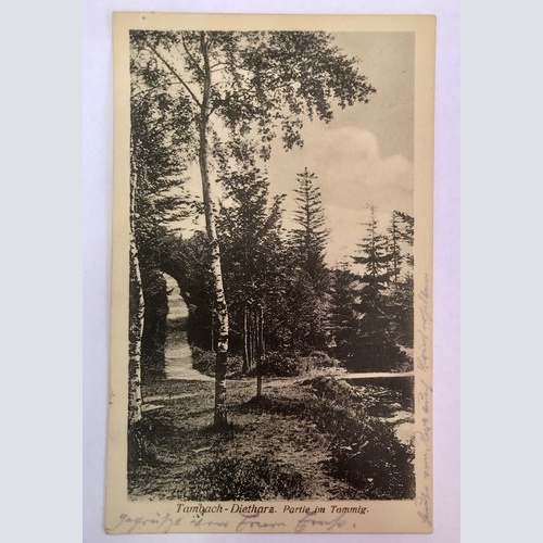 Ak, Thüringen, Tambach, Dietharz, Wald (40074 BW) G