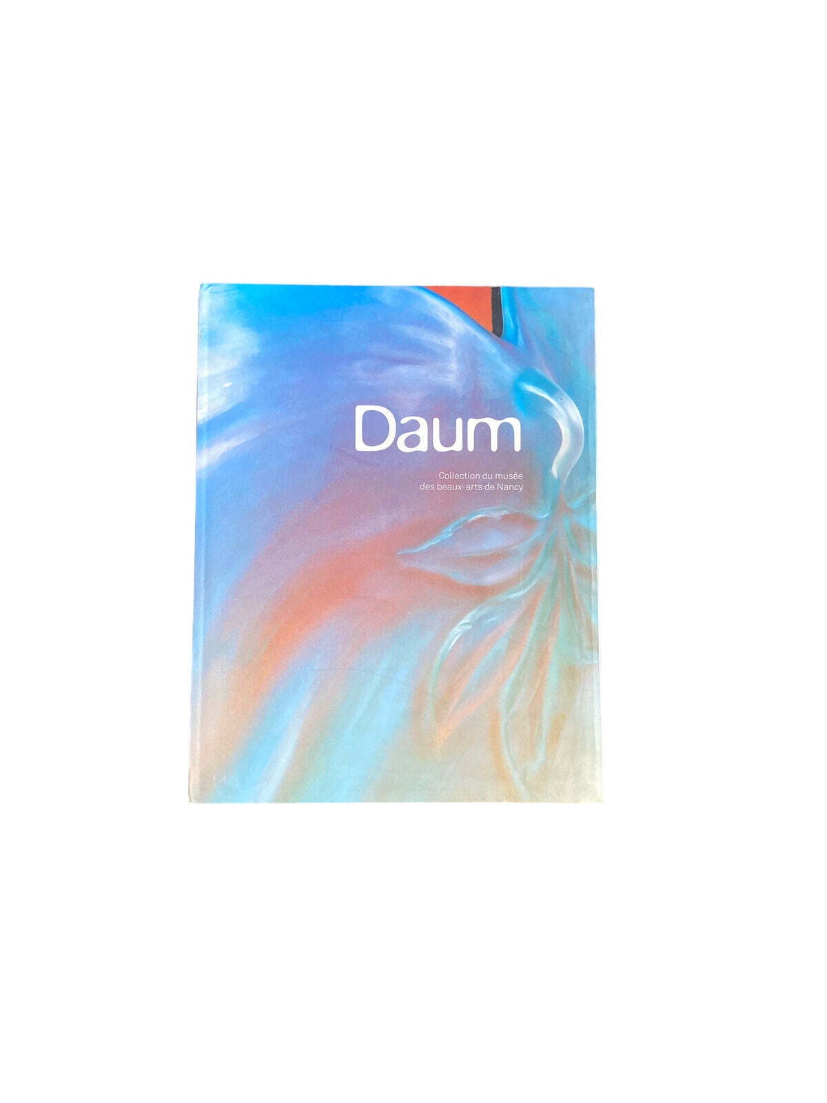 4647 Benoît Martin DAUM COLLECTION DU MUSEE DES BEAUX ARTS DE NANCY. COLLECTION