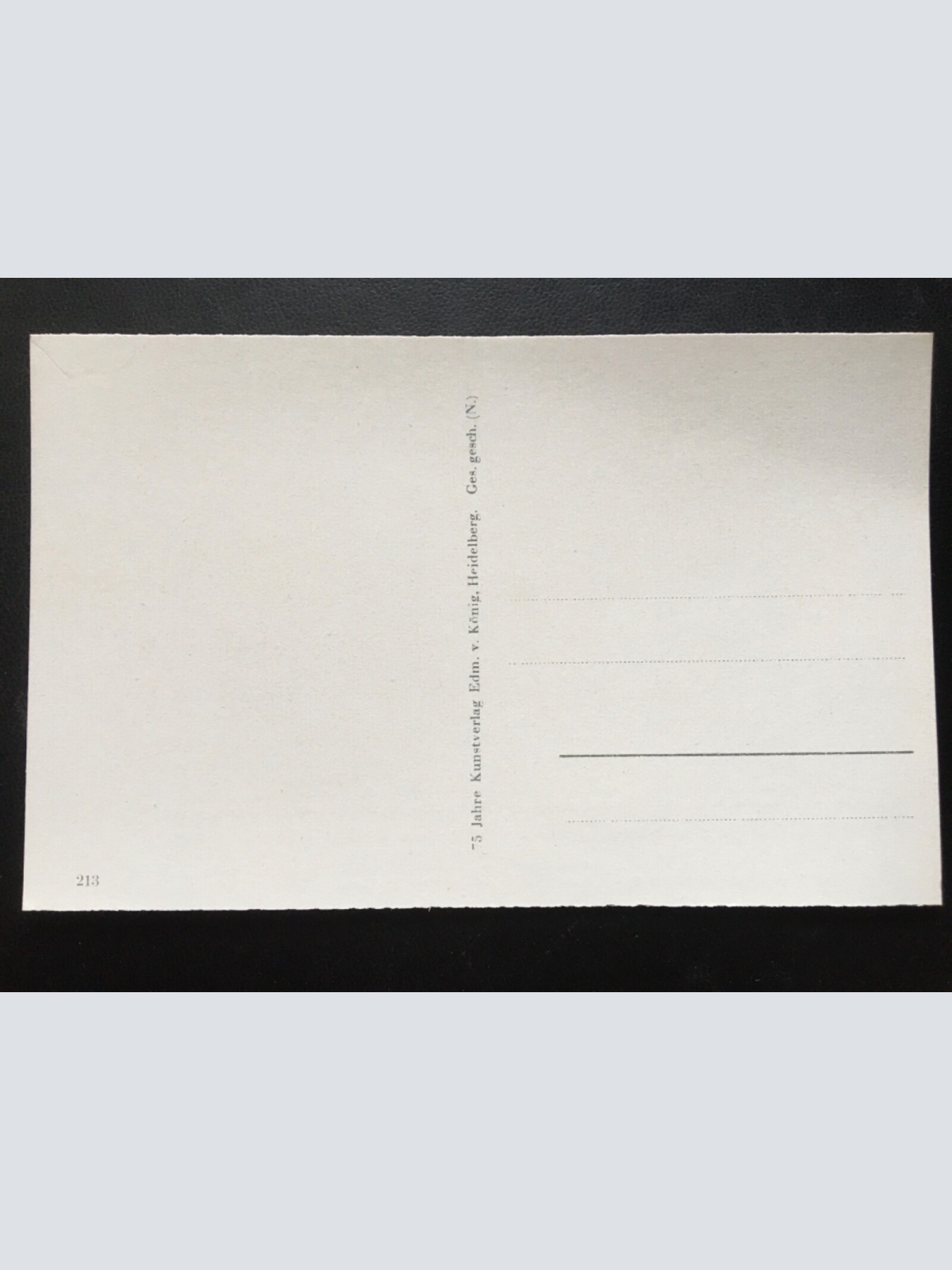 Heidelberg - Blick auf die Stadt - Gedicht (V.v.Scheffel) - Neckar 180092 TH