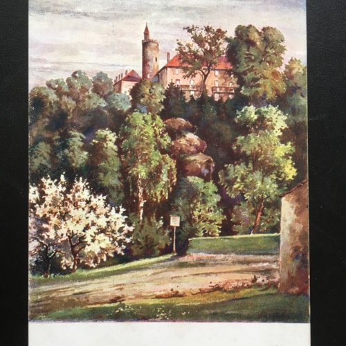 Schloss Chatillon bei Chirey - Bilder aus dem Stellungskrieg (Vogesen) 180090 TH