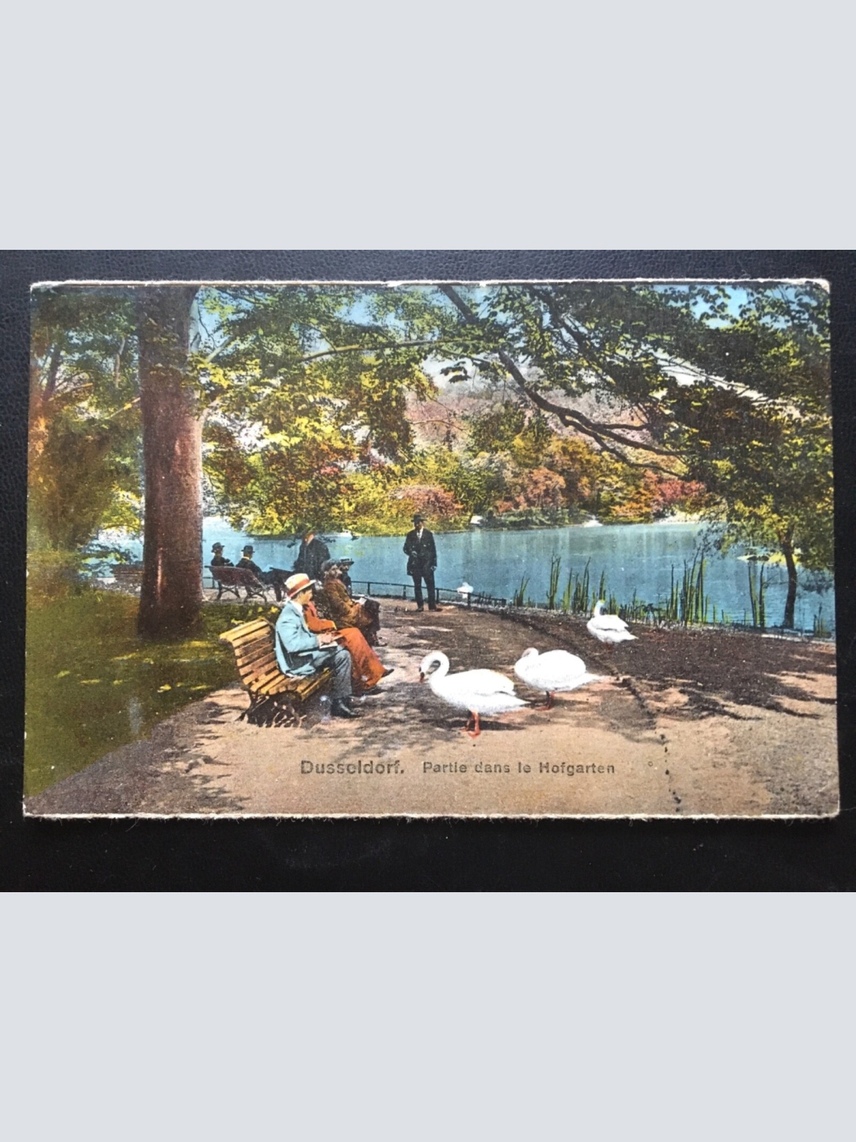 Düsseldorf - Partie dans le Hofgarten - Gänse Parkbank See 180104 TH