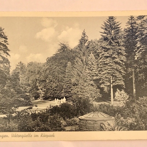 AK, Hessen, Bad Wildungen, Viktorquelle, Kurpark (40009 BW)
